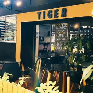 Tiger Auberge de jeunesse Medellín