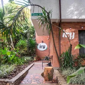 Ivy Auberge de jeunesse Medellín